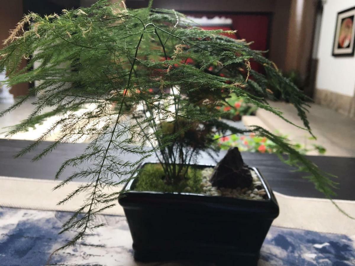 Yueshe Hotel 푸저우 외부 사진